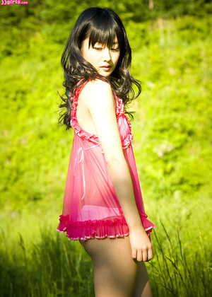 Japanese Mizuho Nishimura Proncom Pink Butterfly jpg 8